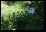 Macin -11-05-2013 - Bogdan Balaban