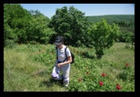 Macin -11-05-2013 - Bogdan Balaban