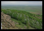 Macin -mai-2010 - Bogdan Balaban