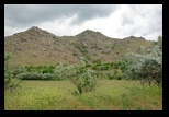 Macin -mai-2010 - Bogdan Balaban