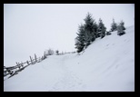 Magura - Pestera -27-01-2013 - Bogdan Balaban