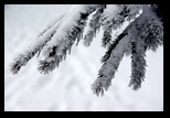 Magura - Pestera -27-01-2013 - Bogdan Balaban