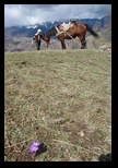 Magura -06-04-2013 - Bogdan Balaban