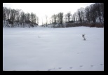 Magura Branului -18-01-2015 - Bogdan Balaban