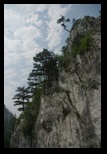 Mehedinti - Balta Cerbului -06-08-2010 - Bogdan Balaban