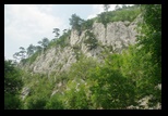 Mehedinti - Balta Cerbului -06-08-2010 - Bogdan Balaban