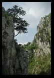 Mehedinti - Balta Cerbului -06-08-2010 - Bogdan Balaban