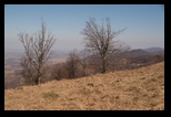 Meses -21-03-2015 - Bogdan Balaban