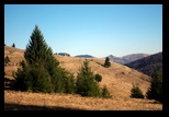 Metaliferi -28-11-2012 - Bogdan Balaban
