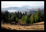Metaliferi -28-11-2012 - Bogdan Balaban