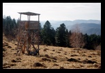 Metaliferi -28-11-2012 - Bogdan Balaban