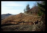 Metaliferi -28-11-2012 - Bogdan Balaban