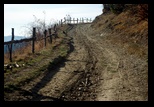 Metaliferi -28-11-2012 - Bogdan Balaban