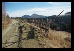 Metaliferi -28-11-2012 - Bogdan Balaban