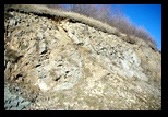 Metaliferi -28-11-2012 - Bogdan Balaban