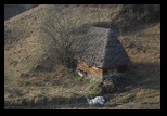 Metaliferi -28-11-2012 - Bogdan Balaban