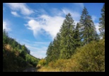 Nemira -05-10-2014 - Bogdan Balaban
