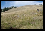 Nemira -05-10-2014 - Bogdan Balaban