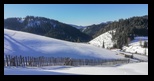 Obcina Feredeu -13-02-2022 - Bogdan Balaban