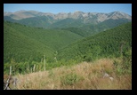 Oslea din Vilcan -21-08-2011 - Bogdan Balaban