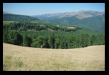 Oslea din Vilcan -21-08-2011 - Bogdan Balaban