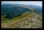 Oslea din Vilcan -21-08-2011 - Bogdan Balaban