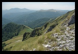 Oslea din Vilcan -21-08-2011 - Bogdan Balaban