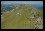 Oslea din Vilcan -21-08-2011 - Bogdan Balaban