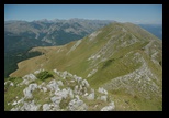 Oslea din Vilcan -21-08-2011 - Bogdan Balaban