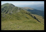 Oslea din Vilcan -21-08-2011 - Bogdan Balaban
