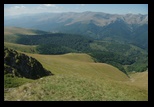 Oslea din Vilcan -21-08-2011 - Bogdan Balaban