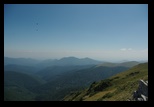 Oslea din Vilcan -21-08-2011 - Bogdan Balaban