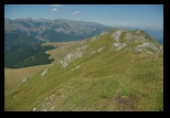 Oslea din Vilcan -21-08-2011 - Bogdan Balaban