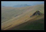 Oslea din Vilcan -21-08-2011 - Bogdan Balaban