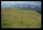 Oslea din Vilcan -21-08-2011 - Bogdan Balaban