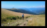 Oslea din Vilcan -27-07-2024 - Bogdan Balaban