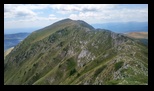 Oslea din Vilcan -27-07-2024 - Bogdan Balaban
