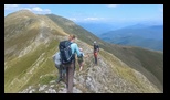Oslea din Vilcan -27-07-2024 - Bogdan Balaban