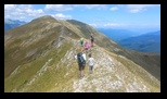 Oslea din Vilcan -27-07-2024 - Bogdan Balaban