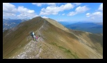 Oslea din Vilcan -27-07-2024 - Bogdan Balaban