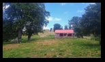 Oslea din Vilcan -27-07-2024 - Bogdan Balaban