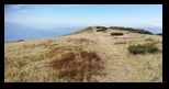 Parang -08-09-2021 - Bogdan Balaban