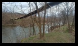 Parcul National Cheile Nerei - Beusnita -29-02-2024 - Bogdan Balaban