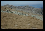 Paring -29-09-2011 - Bogdan Balaban