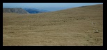 Paring -29-09-2011 - Bogdan Balaban