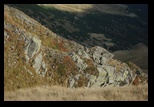 Paring -29-09-2011 - Bogdan Balaban