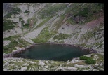 Paring -august-2014 - Bogdan Balaban