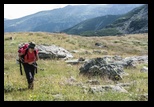 Paring -august-2014 - Bogdan Balaban