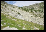 Paring -august-2014 - Bogdan Balaban