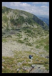 Paring -august-2014 - Bogdan Balaban
